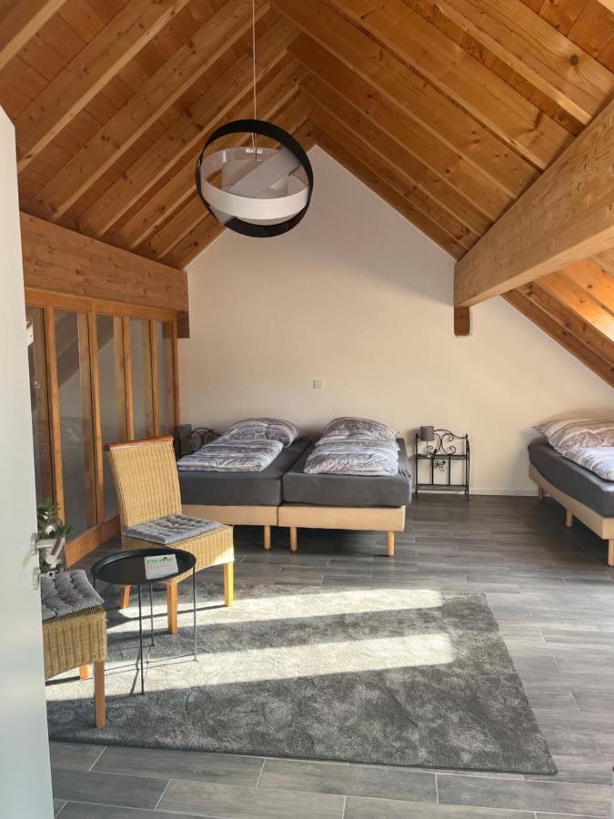 Ferienwohnung Am Wald-Und Wiesenkorb Kell am See 외부 사진